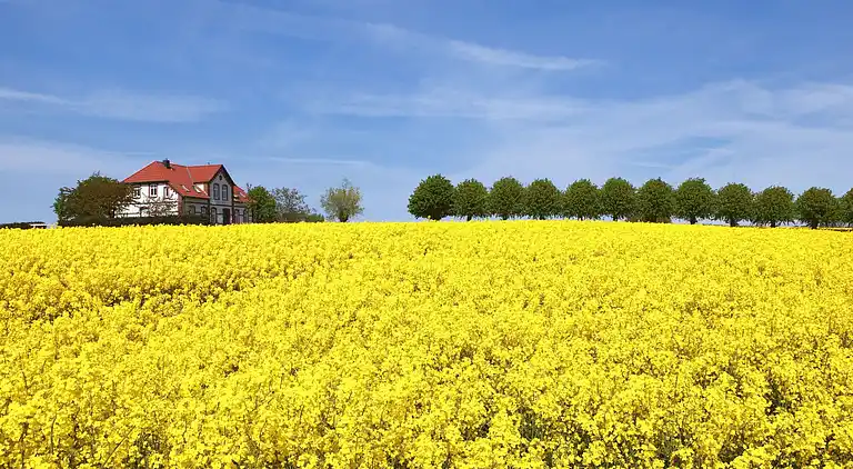 Ferienhaus in Gollwitz