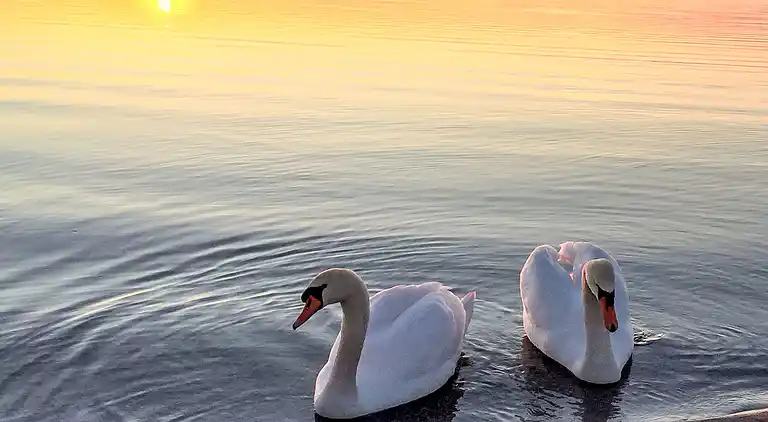 Ferienhaus in Lenz-Süd