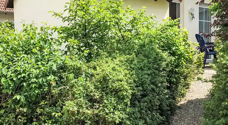 Ferienhaus in Lenz-Süd