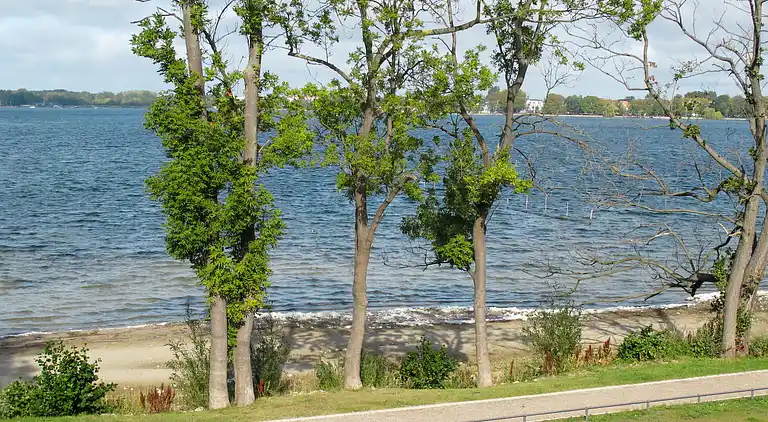 Holiday home in Eldenburg