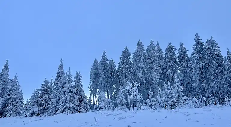 Feriebolig i Schwarzwald