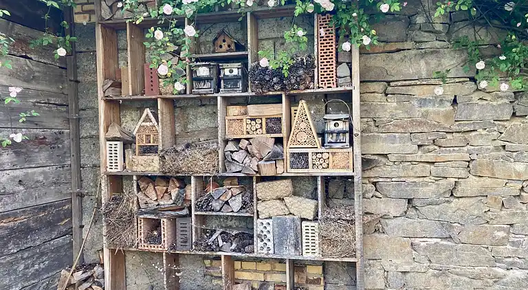 Ferienhaus in Hohburg