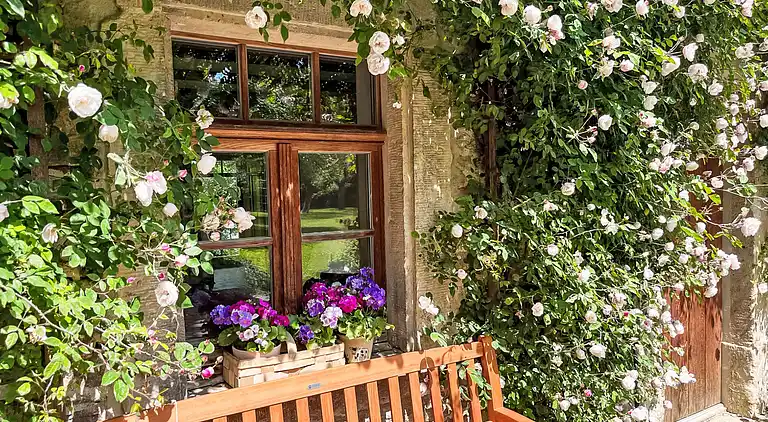 Ferienhaus in Hohburg