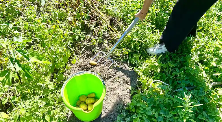 Ferienhaus in Hohburg