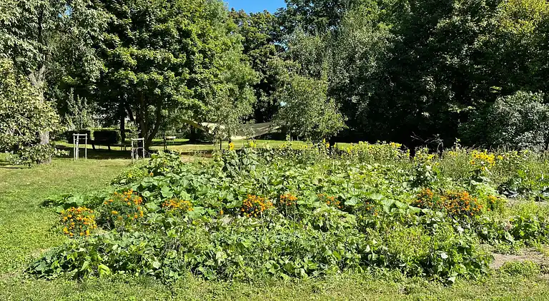 Ferienhaus in Hohburg
