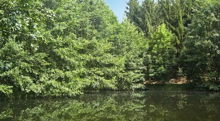 Feriebolig i Falkenstein