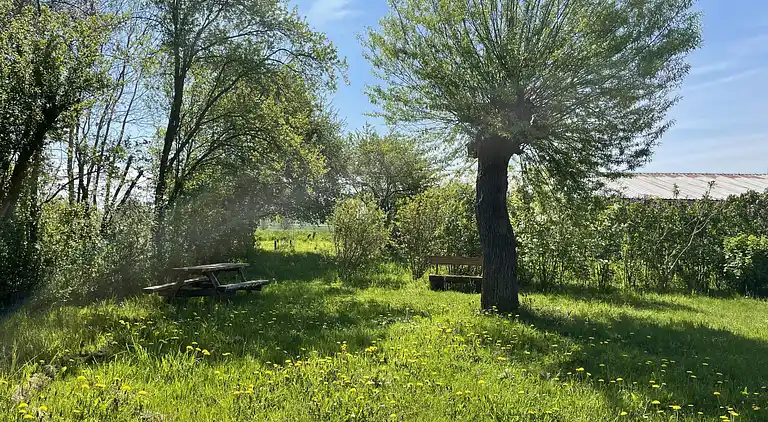 Feriebolig i Goldberg