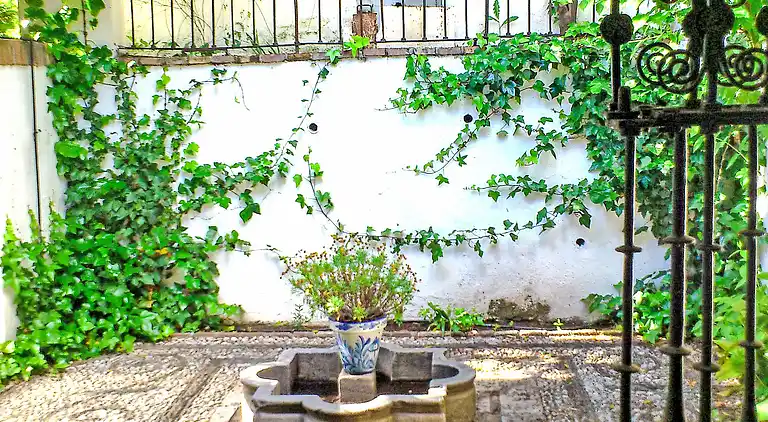 Holiday home in San Pedro