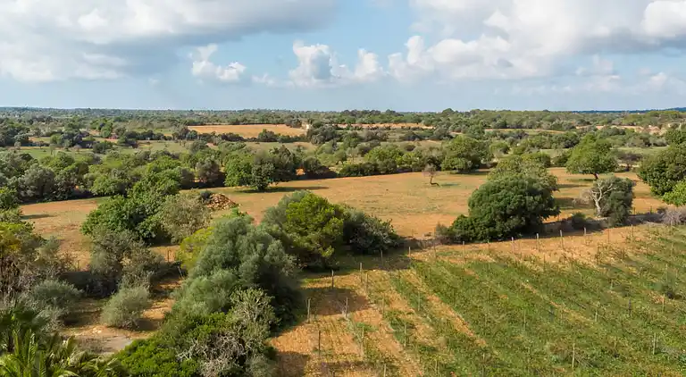 Holiday home in Porreres