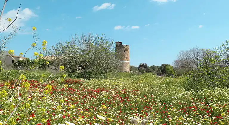 Holiday home in Porreres