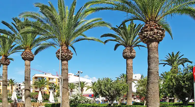 Holiday home in Felanitx