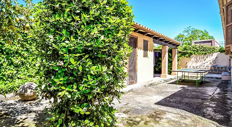 Holiday home in Lloseta