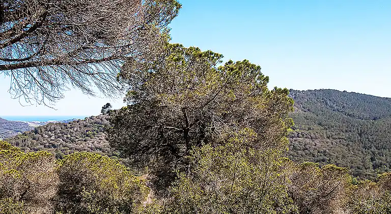 Feriebolig i Argentona