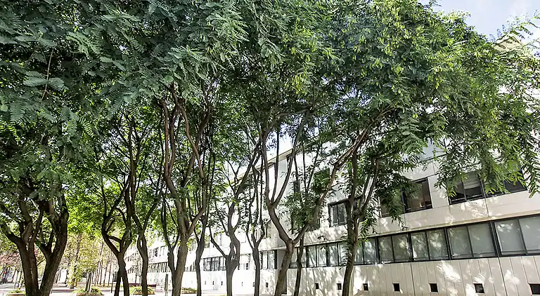 Holiday home in La Vila Olímpica del Poblenou