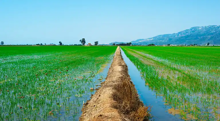 Feriebolig i Deltebre