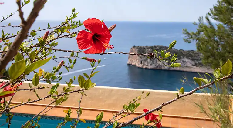 Holiday home in Xàbia