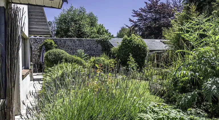 Feriebolig i Limpiville