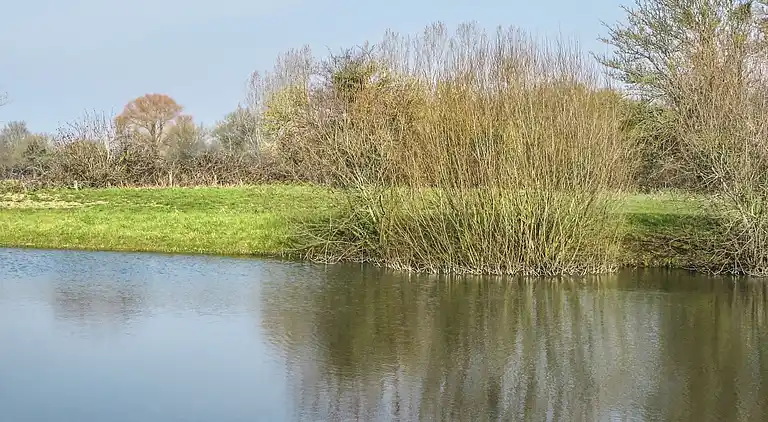 Holiday home in Notre-Dame-d'Estrées-Corbon