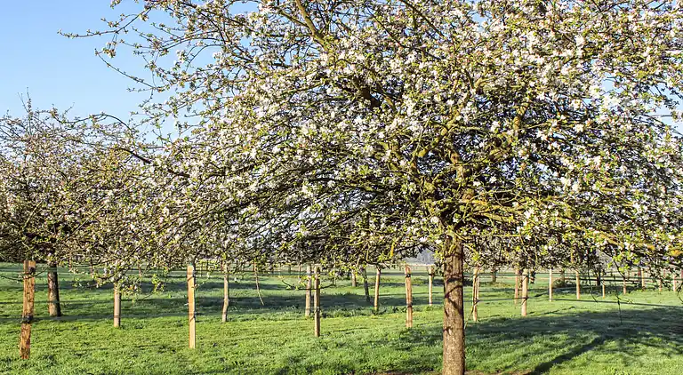 Feriebolig i Notre-Dame-d'Estrées-Corbon