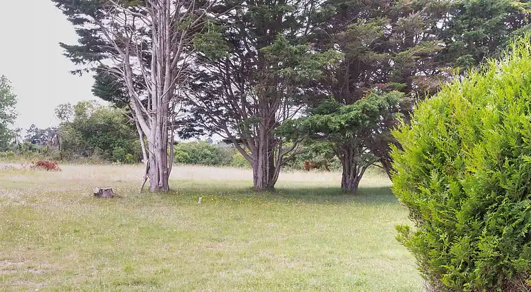 Feriebolig i Portbail