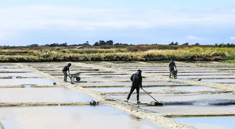 Feriebolig i Noirmoutier-en-l'Île