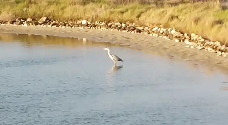 Feriebolig i Noirmoutier-en-l'Île