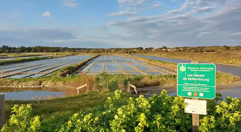 Feriebolig i Noirmoutier-en-l'Île