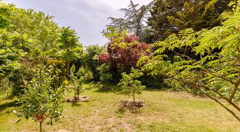 Holiday home in Olonne-sur-Mer