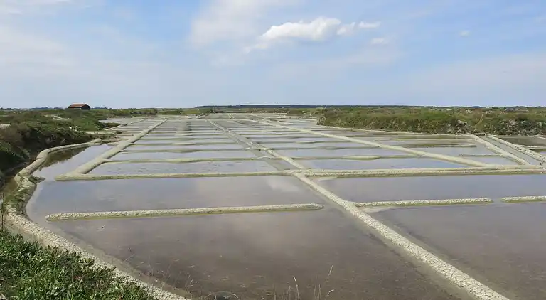 Feriebolig i Le Croisic