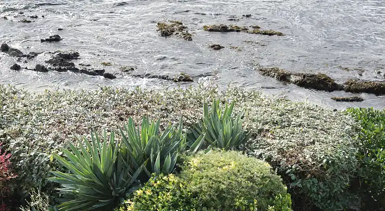 Casa de vacaciones en Plouharnel