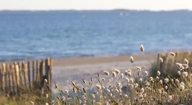 Casa de vacaciones en Plouharnel