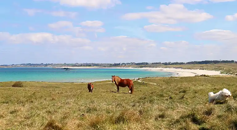 Holiday home in Plourin