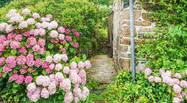 Feriebolig i Lanvéoc