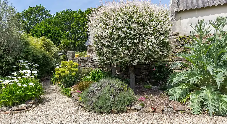 Casa vacanze in Trégunc