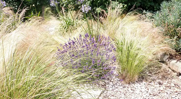 Feriebolig i Trégunc