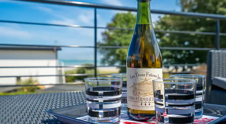 Holiday home in Brignogan-Plages