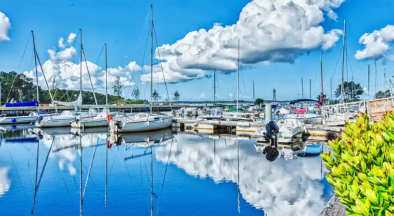 Holiday home in Lacanau