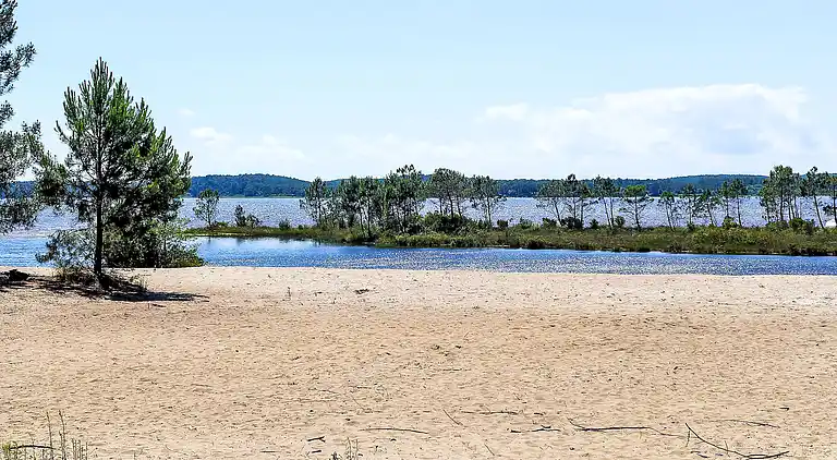 Holiday home in Lacanau