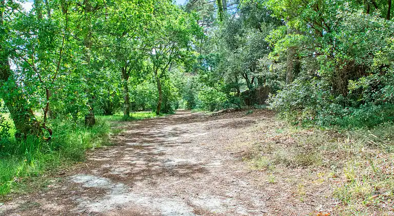 Holiday home in Lacanau