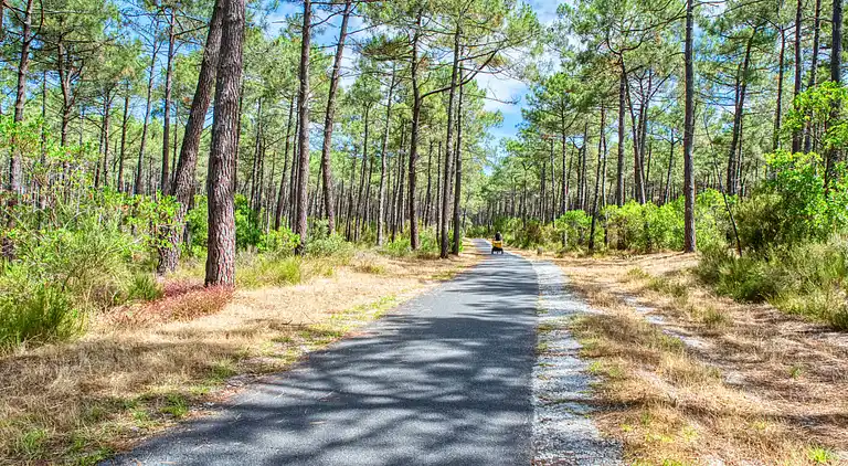 Holiday home in Lacanau