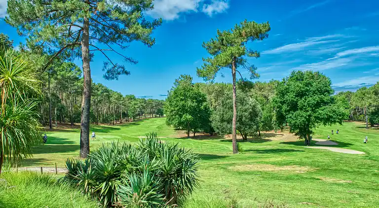 Holiday home in Lacanau