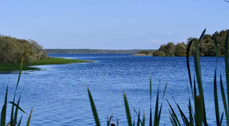 vakantiehuis in Mimizan