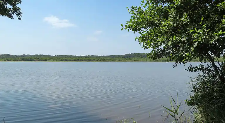 Ferienhaus in Soustons