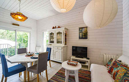 Cottage in Chissay-en-Touraine
