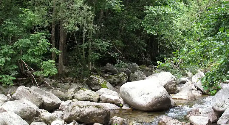 Holiday home in Loubaresse