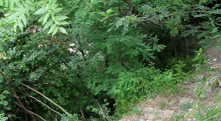 Holiday home in Loubaresse