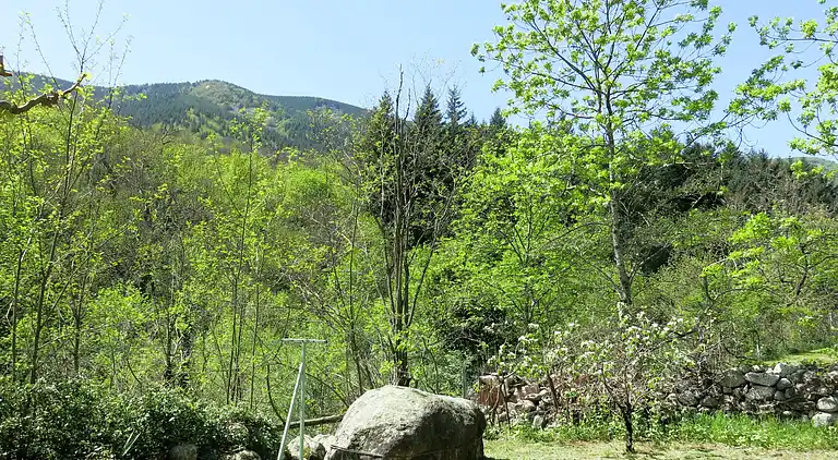 Holiday home in Loubaresse