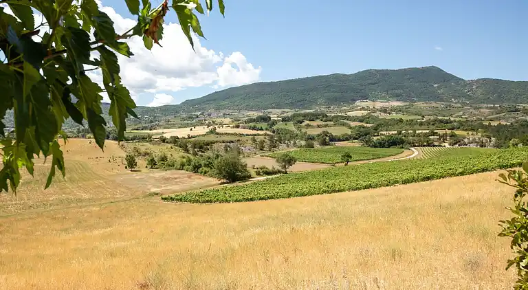 Feriebolig i Vinsobres