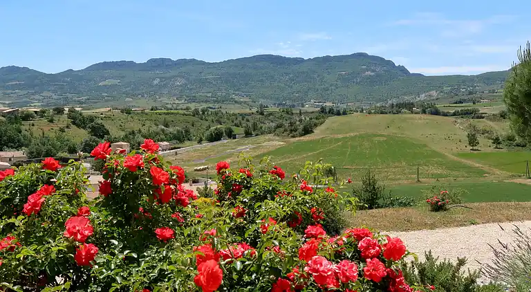 Feriebolig i Vinsobres