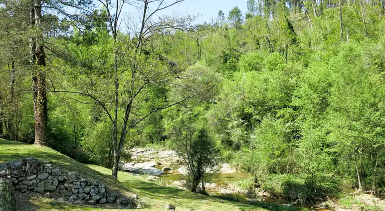 Holiday home in Faugères